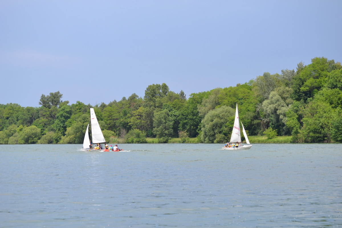 DSC_0073 A