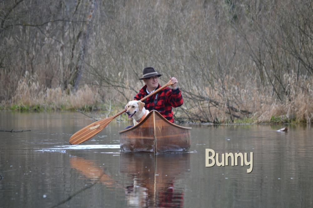 Bunny 1