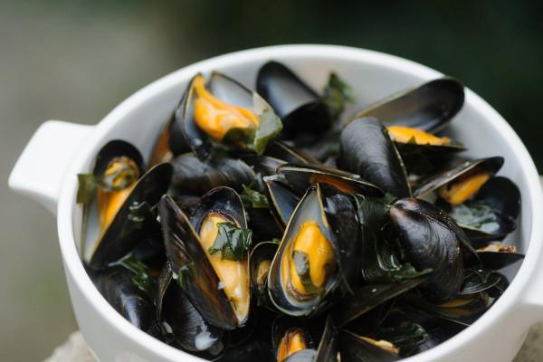 Moules 1